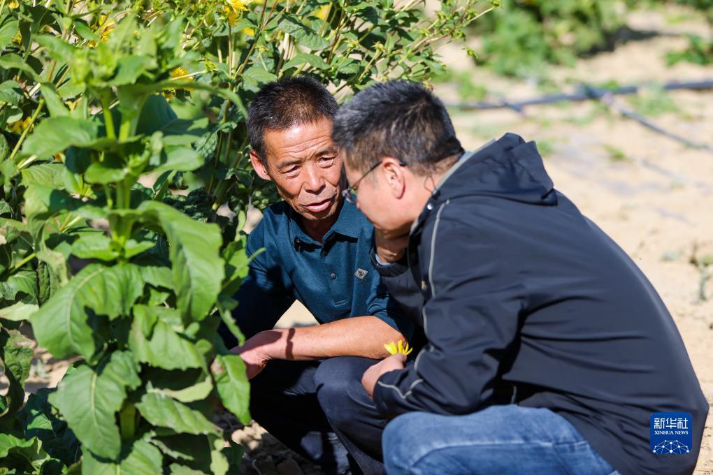 澳门威利斯人app